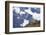 Chile, Guanaco-George Theodore-Framed Photographic Print