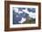 Chile, Guanaco-George Theodore-Framed Photographic Print