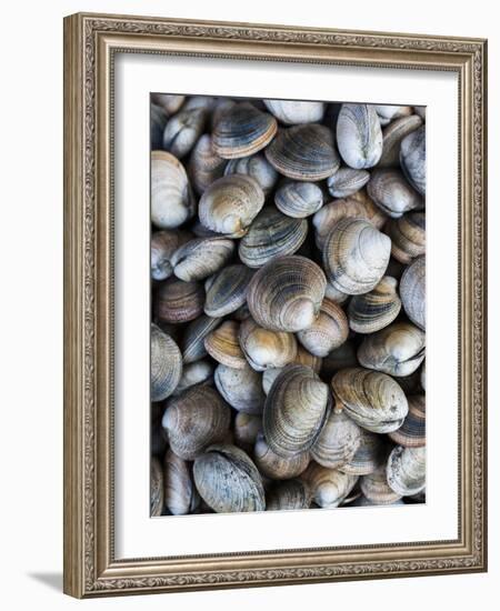 Chile, Los Lagos Region, Puerto Montt, Angelmo Harbor Market, Clams-Walter Bibikow-Framed Photographic Print