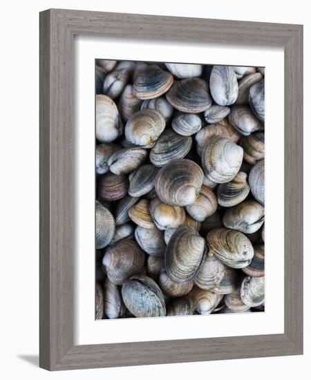 Chile, Los Lagos Region, Puerto Montt, Angelmo Harbor Market, Clams-Walter Bibikow-Framed Photographic Print