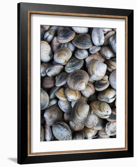 Chile, Los Lagos Region, Puerto Montt, Angelmo Harbor Market, Clams-Walter Bibikow-Framed Photographic Print