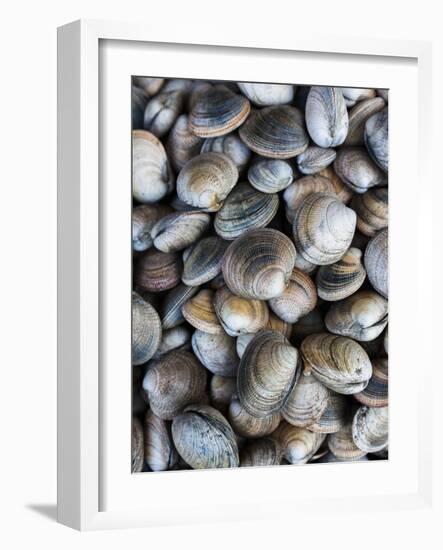 Chile, Los Lagos Region, Puerto Montt, Angelmo Harbor Market, Clams-Walter Bibikow-Framed Photographic Print