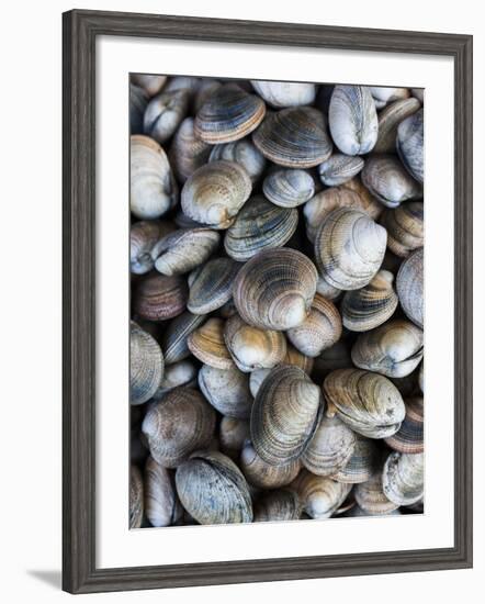 Chile, Los Lagos Region, Puerto Montt, Angelmo Harbor Market, Clams-Walter Bibikow-Framed Photographic Print