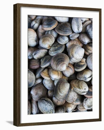 Chile, Los Lagos Region, Puerto Montt, Angelmo Harbor Market, Clams-Walter Bibikow-Framed Photographic Print