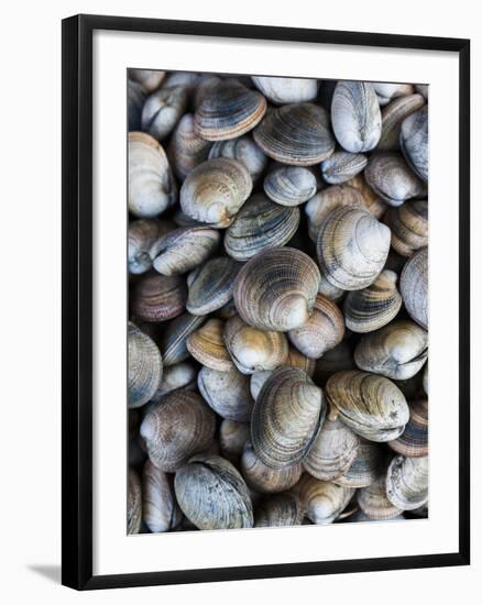 Chile, Los Lagos Region, Puerto Montt, Angelmo Harbor Market, Clams-Walter Bibikow-Framed Photographic Print