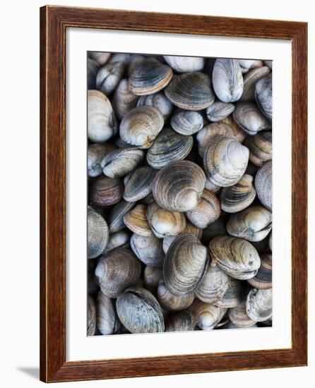 Chile, Los Lagos Region, Puerto Montt, Angelmo Harbor Market, Clams-Walter Bibikow-Framed Photographic Print