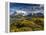 Chile, Magallanes Region, Torres Del Paine National Park, Lago Pehoe, Morning Landscape-Walter Bibikow-Framed Premier Image Canvas