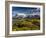 Chile, Magallanes Region, Torres Del Paine National Park, Lago Pehoe, Morning Landscape-Walter Bibikow-Framed Photographic Print