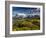 Chile, Magallanes Region, Torres Del Paine National Park, Lago Pehoe, Morning Landscape-Walter Bibikow-Framed Photographic Print