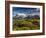 Chile, Magallanes Region, Torres Del Paine National Park, Lago Pehoe, Morning Landscape-Walter Bibikow-Framed Photographic Print