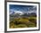 Chile, Magallanes Region, Torres Del Paine National Park, Lago Pehoe, Morning Landscape-Walter Bibikow-Framed Photographic Print