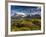 Chile, Magallanes Region, Torres Del Paine National Park, Lago Pehoe, Morning Landscape-Walter Bibikow-Framed Photographic Print