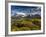 Chile, Magallanes Region, Torres Del Paine National Park, Lago Pehoe, Morning Landscape-Walter Bibikow-Framed Photographic Print