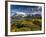 Chile, Magallanes Region, Torres Del Paine National Park, Lago Pehoe, Morning Landscape-Walter Bibikow-Framed Photographic Print