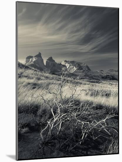 Chile, Magallanes Region, Torres Del Paine National Park, Landscape by Salto Grande Waterfall-Walter Bibikow-Mounted Photographic Print