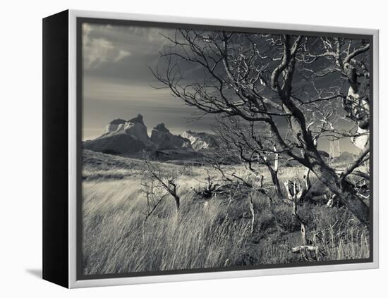 Chile, Magallanes Region, Torres Del Paine National Park, Landscape by Salto Grande Waterfall-Walter Bibikow-Framed Premier Image Canvas