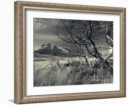 Chile, Magallanes Region, Torres Del Paine National Park, Landscape by Salto Grande Waterfall-Walter Bibikow-Framed Photographic Print