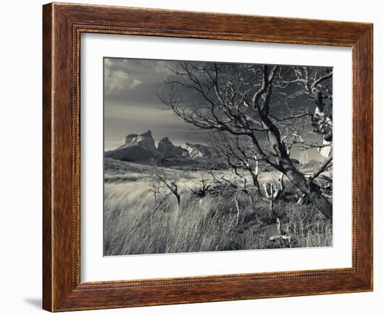 Chile, Magallanes Region, Torres Del Paine National Park, Landscape by Salto Grande Waterfall-Walter Bibikow-Framed Photographic Print