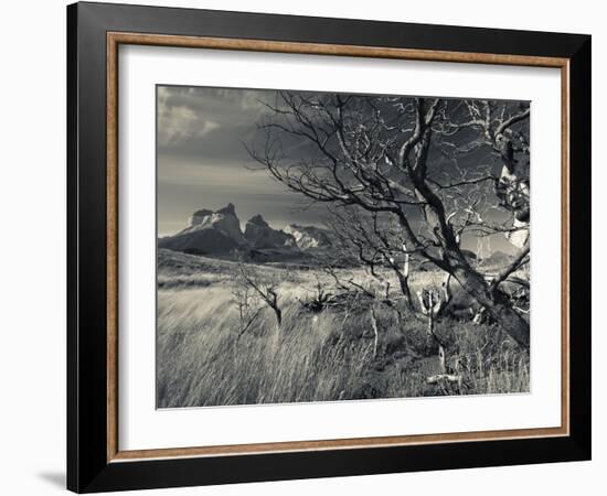 Chile, Magallanes Region, Torres Del Paine National Park, Landscape by Salto Grande Waterfall-Walter Bibikow-Framed Photographic Print