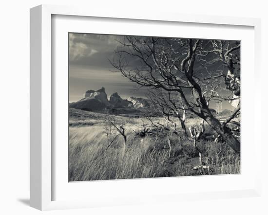 Chile, Magallanes Region, Torres Del Paine National Park, Landscape by Salto Grande Waterfall-Walter Bibikow-Framed Photographic Print