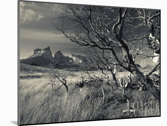 Chile, Magallanes Region, Torres Del Paine National Park, Landscape by Salto Grande Waterfall-Walter Bibikow-Mounted Photographic Print
