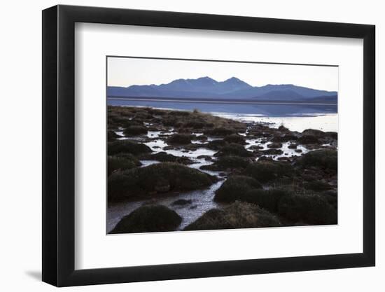 Chile, National Park Nevado Tres Cruzes, Laguna Santa Rose-Jutta Ulmer-Framed Photographic Print