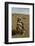 Chile, Patagonia, Isla Magdalena. Close-up of Magellanic Penguins-Cathy & Gordon Illg-Framed Photographic Print