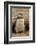 Chile, Patagonia, Isla Magdalena. Magellanic Penguin Chick at Burrow-Cathy & Gordon Illg-Framed Photographic Print