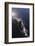 Chile, Patagonia, Lake District. Peale's Dolphin in Estero Cahuelmo.-Fredrik Norrsell-Framed Photographic Print