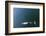 Chile, Patagonia, Lake District. Peale's Dolphin in Estero Cahuelmo.-Fredrik Norrsell-Framed Photographic Print