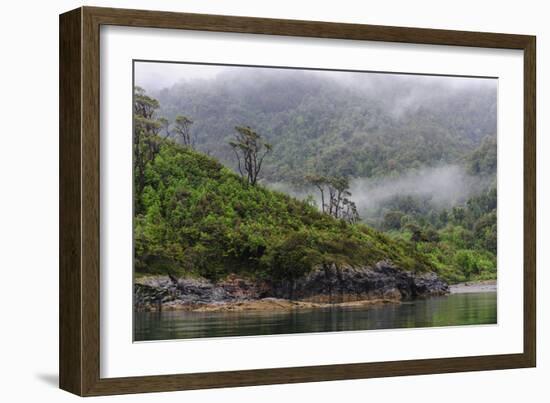 Chile, Patagonia, Lake District, Pumalin National Park. Valdivian rainforest-Fredrik Norrsell-Framed Photographic Print