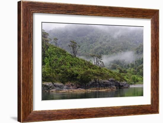 Chile, Patagonia, Lake District, Pumalin National Park. Valdivian rainforest-Fredrik Norrsell-Framed Photographic Print