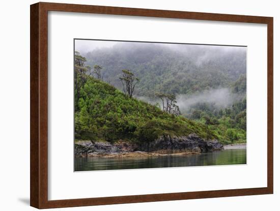 Chile, Patagonia, Lake District, Pumalin National Park. Valdivian rainforest-Fredrik Norrsell-Framed Photographic Print