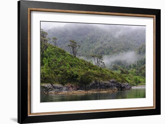 Chile, Patagonia, Lake District, Pumalin National Park. Valdivian rainforest-Fredrik Norrsell-Framed Photographic Print