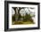 Chile, Patagonia. Lake Pehoe and The Horns mountains.-Jaynes Gallery-Framed Photographic Print