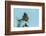 Chile, Patagonia. Rufous-collared sparrow jumping.-Jaynes Gallery-Framed Photographic Print