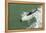 Chile, Patagonia, Straits of Magellan. Commerson's Dolphin Breaching-Cathy & Gordon Illg-Framed Premier Image Canvas