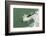 Chile, Patagonia, Straits of Magellan. Commerson's Dolphin Breaching-Cathy & Gordon Illg-Framed Photographic Print