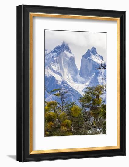 Chile, Patagonia. The Horns mountains.-Jaynes Gallery-Framed Photographic Print