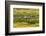 Chile, Patagonia, Tierra del Fuego. King Penguin Colony-Cathy & Gordon Illg-Framed Photographic Print