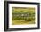 Chile, Patagonia, Tierra del Fuego. King Penguin Colony-Cathy & Gordon Illg-Framed Photographic Print