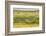 Chile, Patagonia, Tierra del Fuego. King Penguin Colony-Cathy & Gordon Illg-Framed Photographic Print