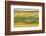 Chile, Patagonia, Tierra del Fuego. King Penguin Colony-Cathy & Gordon Illg-Framed Photographic Print