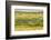 Chile, Patagonia, Tierra del Fuego. King Penguin Colony-Cathy & Gordon Illg-Framed Photographic Print