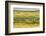 Chile, Patagonia, Tierra del Fuego. King Penguin Colony-Cathy & Gordon Illg-Framed Photographic Print