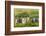 Chile, Patagonia, Tierra del Fuego. King Penguin Colony-Cathy & Gordon Illg-Framed Photographic Print