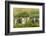 Chile, Patagonia, Tierra del Fuego. King Penguin Colony-Cathy & Gordon Illg-Framed Photographic Print