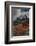 Chile, Patagonia, Torres Del Paine, firebush and mountain-Howie Garber-Framed Photographic Print