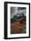 Chile, Patagonia, Torres Del Paine, firebush and mountain-Howie Garber-Framed Photographic Print