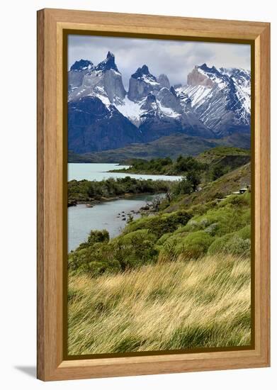 Chile, Patagonia Torres del Paine National Park with Grasses-John Ford-Framed Premier Image Canvas
